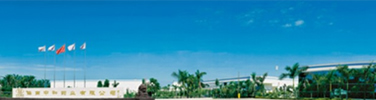 Nanfang Electronic Co., LTD